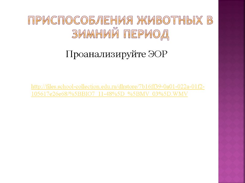 Приспособления животных в зимний период  Проанализируйте ЭОР http://files.school-collection.edu.ru/dlrstore/7b16ff39-0a01-022a-01f2-105617e26e68/%5BBIO7_11-48%5D_%5BMV_03%5D.WMV